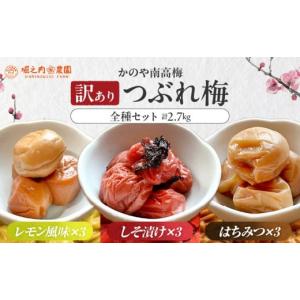 ふるさと納税 加工品等 梅干 鹿児島県 鹿屋市...の詳細画像1