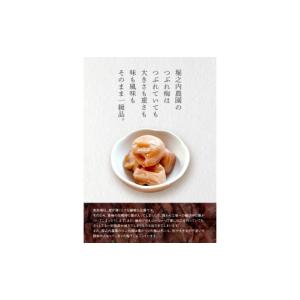 ふるさと納税 加工品等 梅干 鹿児島県 鹿屋市...の詳細画像3