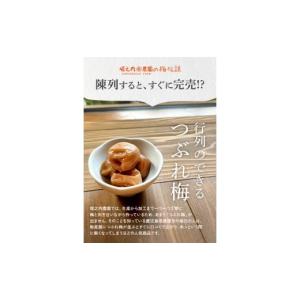 ふるさと納税 加工品等 梅干 鹿児島県 鹿屋市...の詳細画像4