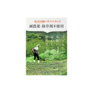 ふるさと納税 加工品等 梅干 鹿児島県 鹿屋市...の詳細画像5