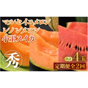 ふるさと納税 メロン メロン赤肉 福井県 あわら...の商品画像