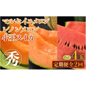 ふるさと納税 メロン メロン赤肉 福井県 あわ...の詳細画像1