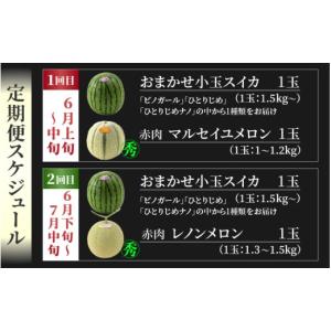 ふるさと納税 メロン メロン赤肉 福井県 あわ...の詳細画像2