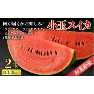 ふるさと納税 メロン メロン赤肉 福井県 あわ...の詳細画像3