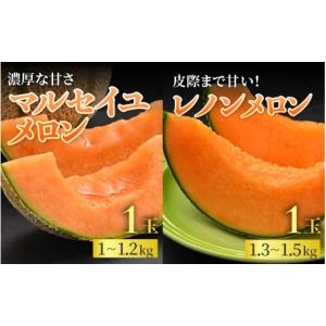 ふるさと納税 メロン メロン赤肉 福井県 あわ...の詳細画像4