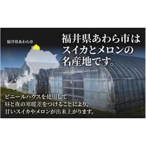 ふるさと納税 メロン メロン赤肉 福井県 あわ...の詳細画像5