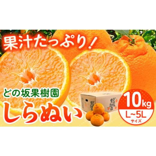 ふるさと納税 みかん・柑橘類 デコポン 和歌山県 日高町 不知火 ( デコポンと同品種 ) しらぬい...