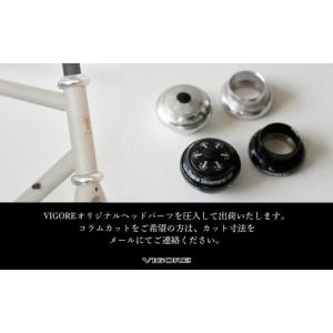 ふるさと納税 自転車 京都府 京都市 VIGO...の詳細画像4