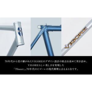 ふるさと納税 自転車 京都府 京都市 VIGO...の詳細画像2