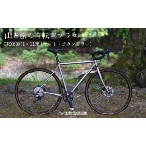 ふるさと納税 自転車 京都府 京都市 VIGO...の詳細画像1