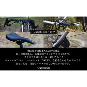 ふるさと納税 自転車 京都府 京都市 VIGO...の詳細画像3