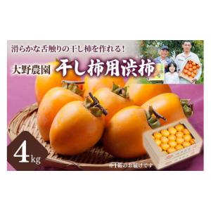 ふるさと納税 果物類 柿 岐阜県 本巣市 先行予...の商品画像