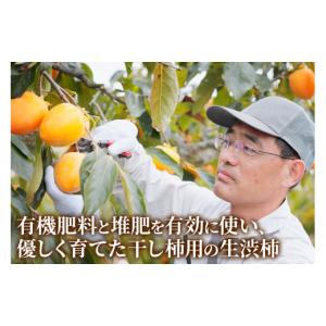 ふるさと納税 果物類 柿 岐阜県 本巣市 先行...の詳細画像2