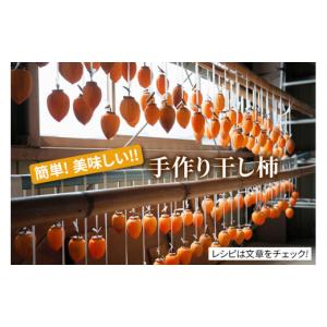 ふるさと納税 果物類 柿 岐阜県 本巣市 先行...の詳細画像3