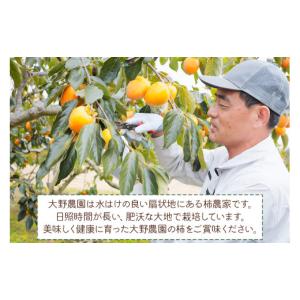 ふるさと納税 果物類 柿 岐阜県 本巣市 先行...の詳細画像4