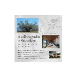 ふるさと納税 美容 香川県 土庄町 小豆島 千...の詳細画像2