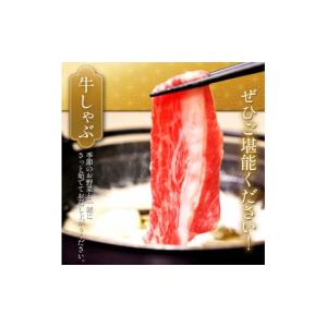 ふるさと納税 牛肉 カレー・シチュー 栃木県 ...の詳細画像3