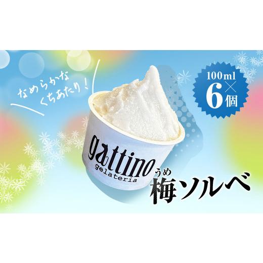 ふるさと納税 アイス・ヨーグルト ジェラート 群馬県 安中市 gelateria gattino 安...