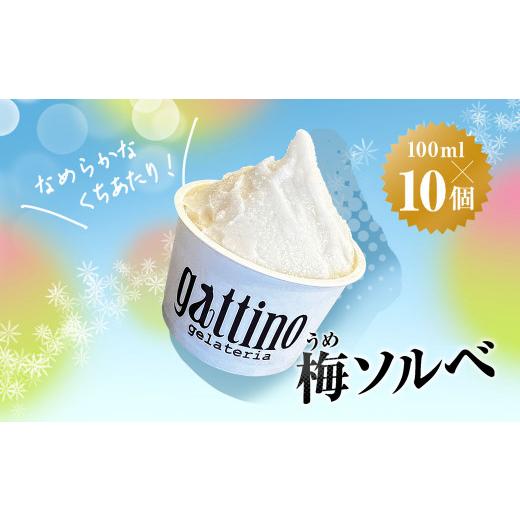 ふるさと納税 アイス・ヨーグルト ジェラート 群馬県 安中市 gelateria gattino 安...