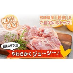 ふるさと納税 鶏肉 モモ 宮崎県 都城市 宮崎...の詳細画像2