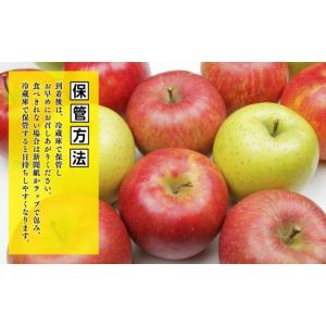 ふるさと納税 りんご 青森県 平川市 3月発送...の詳細画像5