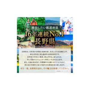 ふるさと納税 スポーツ・アウトドア 長野県 松...の詳細画像5
