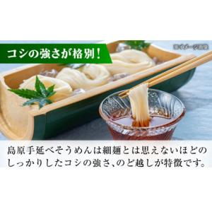 ふるさと納税 そうめん 長崎県 - 島原手延べ...の詳細画像2