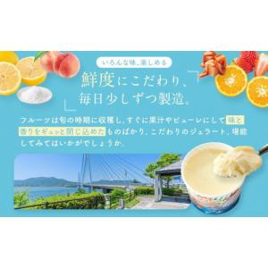 ふるさと納税 アイス・ヨーグルト ジェラート ...の詳細画像3