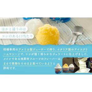 ふるさと納税 アイス・ヨーグルト ジェラート ...の詳細画像4