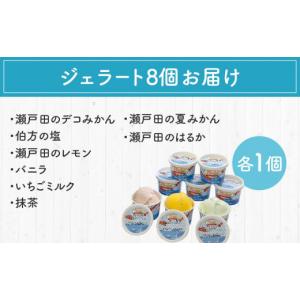 ふるさと納税 アイス・ヨーグルト ジェラート ...の詳細画像5
