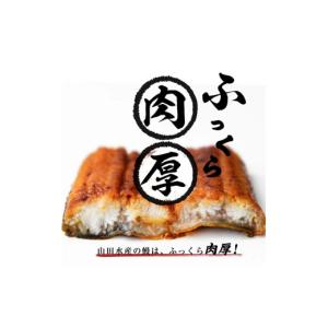 ふるさと納税 うなぎ 鹿児島県 志布志市 志布...の詳細画像3