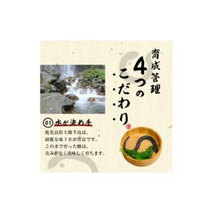 ふるさと納税 うなぎ 鹿児島県 志布志市 志布...の詳細画像5
