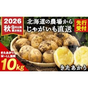 ふるさと納税 野菜類 じゃがいも 北海道 積丹町  2026年 秋 発送 じゃがいも 10kg 北海道 きたあかり ジャガイモ 芋 いも