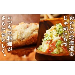 ふるさと納税 野菜類 じゃがいも 北海道 積丹...の詳細画像4