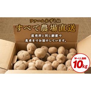 ふるさと納税 野菜類 じゃがいも 北海道 積丹...の詳細画像5
