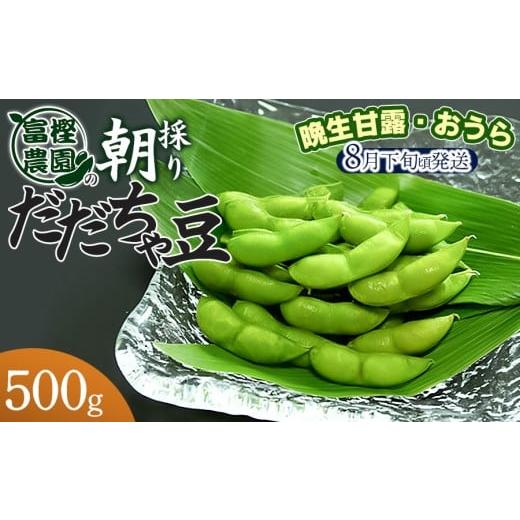ふるさと納税 豆類 枝豆 山形県 鶴岡市  令和8年産先行予約 富樫農園の朝採りだだちゃ豆 8月下旬...