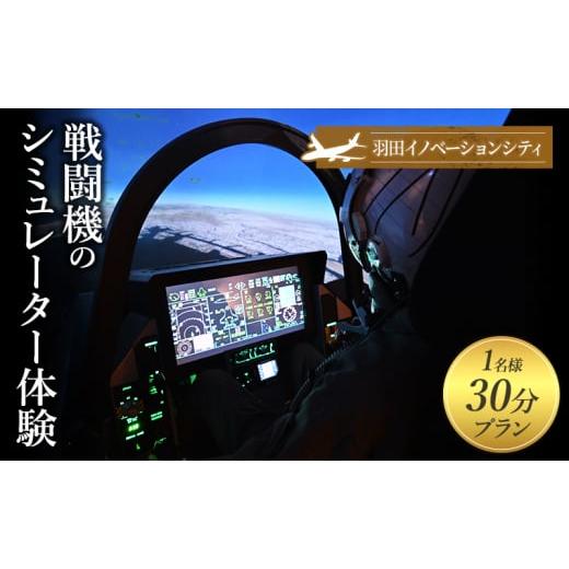 ふるさと納税 体験チケット 東京都 大田区 羽田イノベーションシティ　LUXURY FLIGHT　戦...