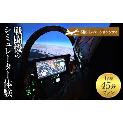 ふるさと納税 体験チケット 東京都 大田区 羽田イノベーションシティ　LUXURY FLIGHT　戦...