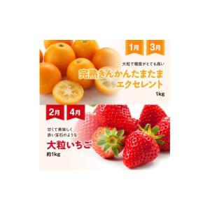 ふるさと納税 果物の詰合せ 宮崎県 川南町 1...の詳細画像3