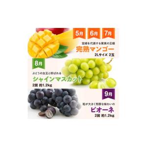 ふるさと納税 果物の詰合せ 宮崎県 川南町 1...の詳細画像4