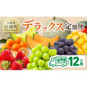 ふるさと納税 果物の詰合せ 宮崎県 川南町 12ヶ月定期便 デラックス 定期便 川南町産 くだもの きんかん いちご 完熟 マンゴー ぶどう ピオーネ シャイン マ…