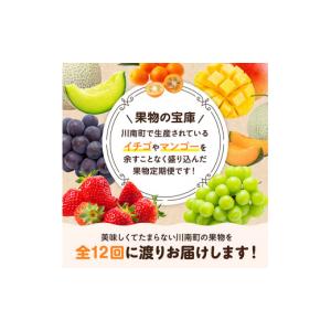 ふるさと納税 果物の詰合せ 宮崎県 川南町 1...の詳細画像2