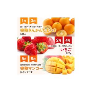 ふるさと納税 果物の詰合せ 宮崎県 川南町 1...の詳細画像3