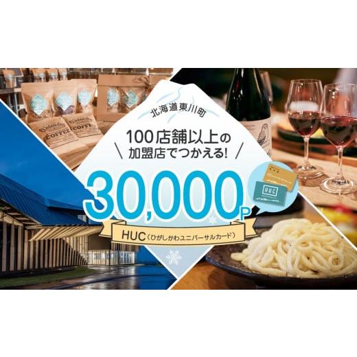 ふるさと納税 ポイント 北海道 東川町 HUCポイント ¥30,000分
