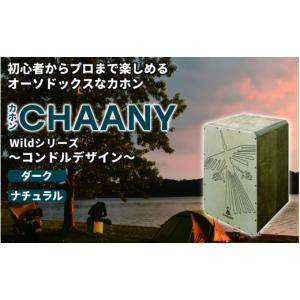 ふるさと納税 楽器 長野県 岡谷市 CHAAN...の詳細画像1