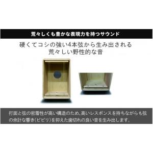 ふるさと納税 楽器 長野県 岡谷市 CHAAN...の詳細画像2