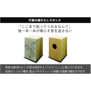 ふるさと納税 楽器 長野県 岡谷市 CHAAN...の詳細画像3