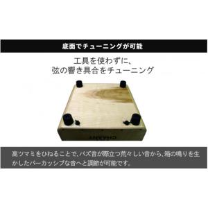 ふるさと納税 楽器 長野県 岡谷市 CHAAN...の詳細画像4