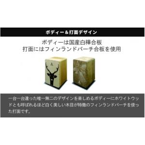 ふるさと納税 楽器 長野県 岡谷市 CHAAN...の詳細画像5