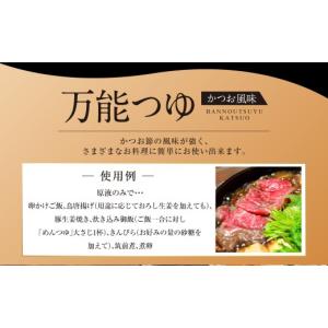 ふるさと納税 塩・だし 鰹節 長崎県 長崎市 ...の詳細画像2